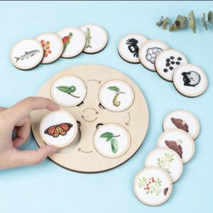Jeu évolution des animaux un jeu pour les amoureux de la nature