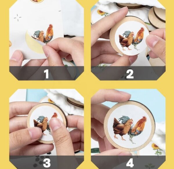 Jeu évolution des animaux – Image 5